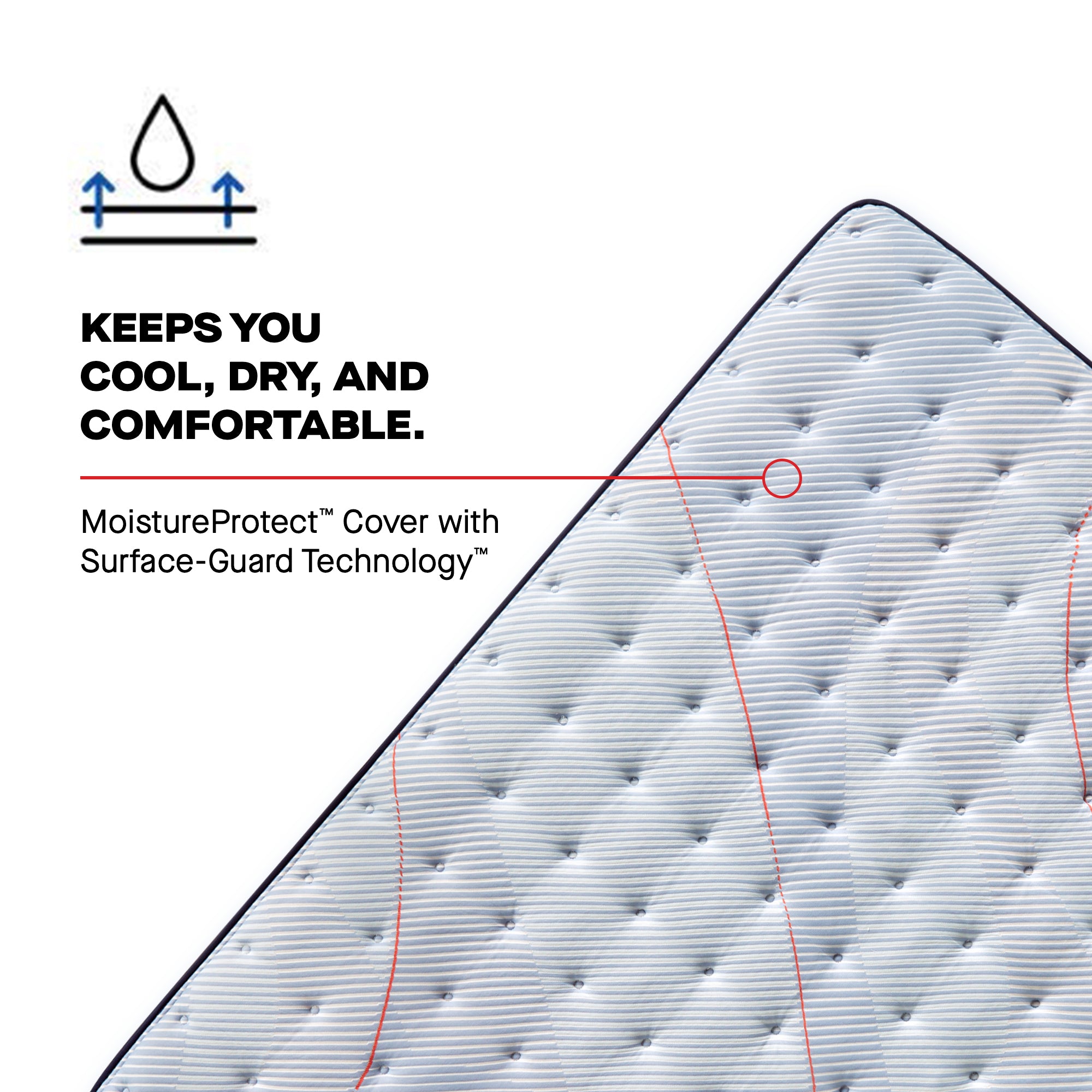 Sealy Posturepedic® Medina II Soft - Euro Pillowtop