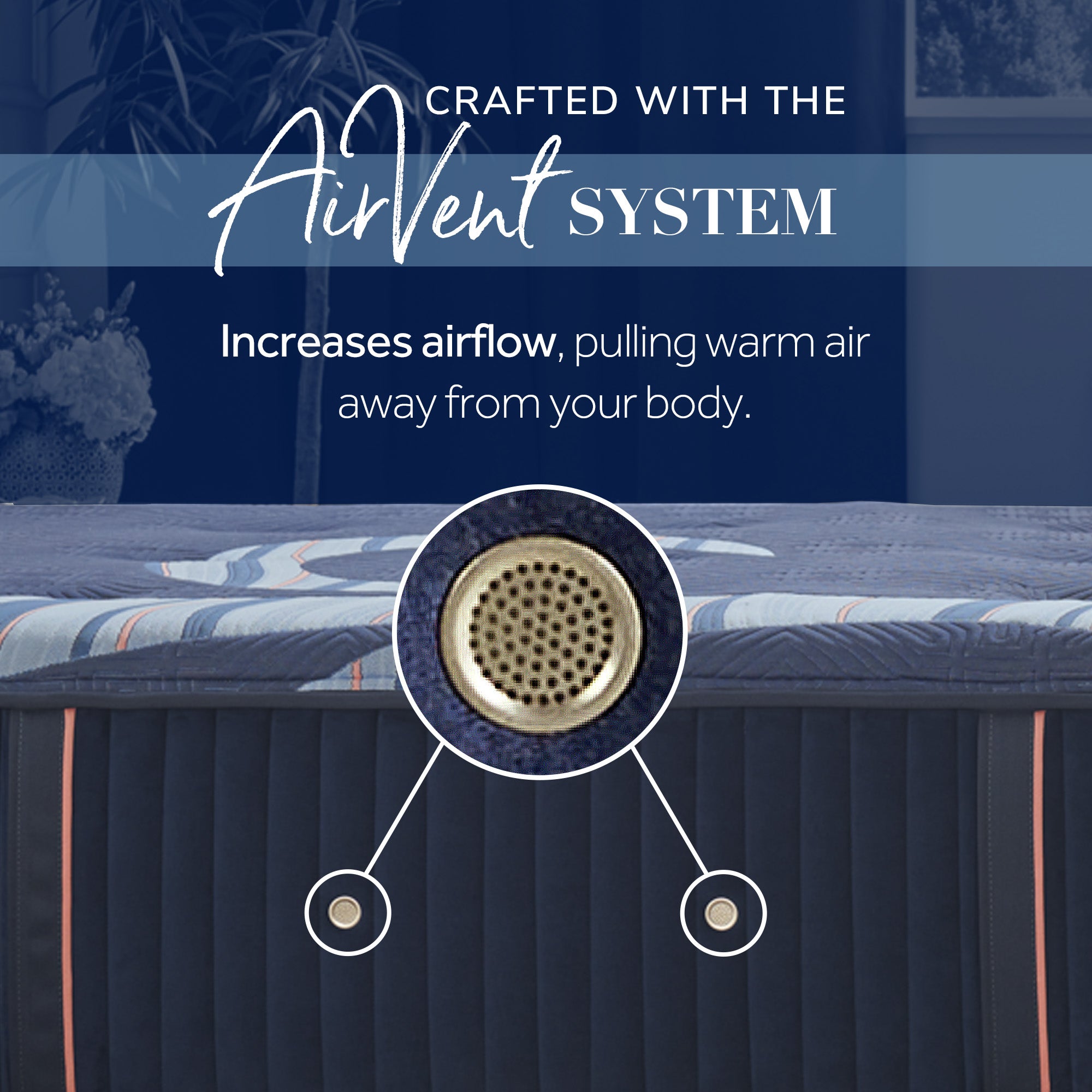 Stearns & Foster® Reserve Soft - Euro Pillowtop